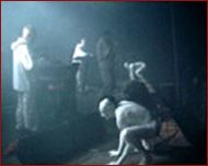 coil live in dour 2002