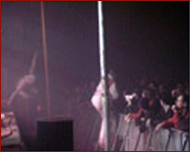 coil live in dour 2002