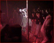 coil live in dour 2002