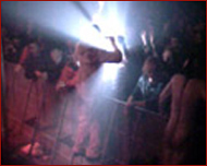 coil live in dour 2002