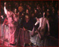 coil live in dour 2002