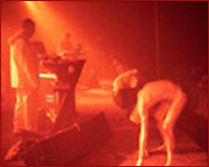 coil live in dour 2002