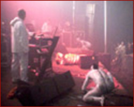 coil live in dour 2002
