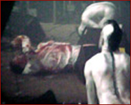 coil live in dour 2002