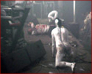 coil live in dour 2002
